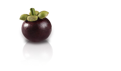 Mangosteen